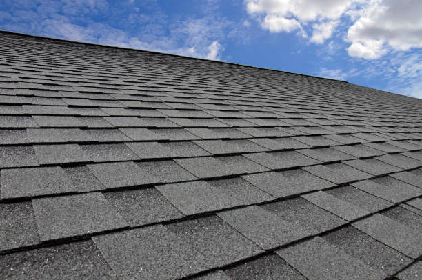 Best Roof Ventilation Installation  in Briar Chapel, NC