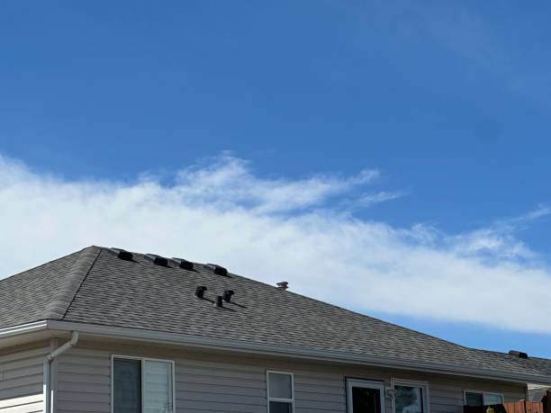 Best Roof Ventilation Installation  in Briar Chapel, NC